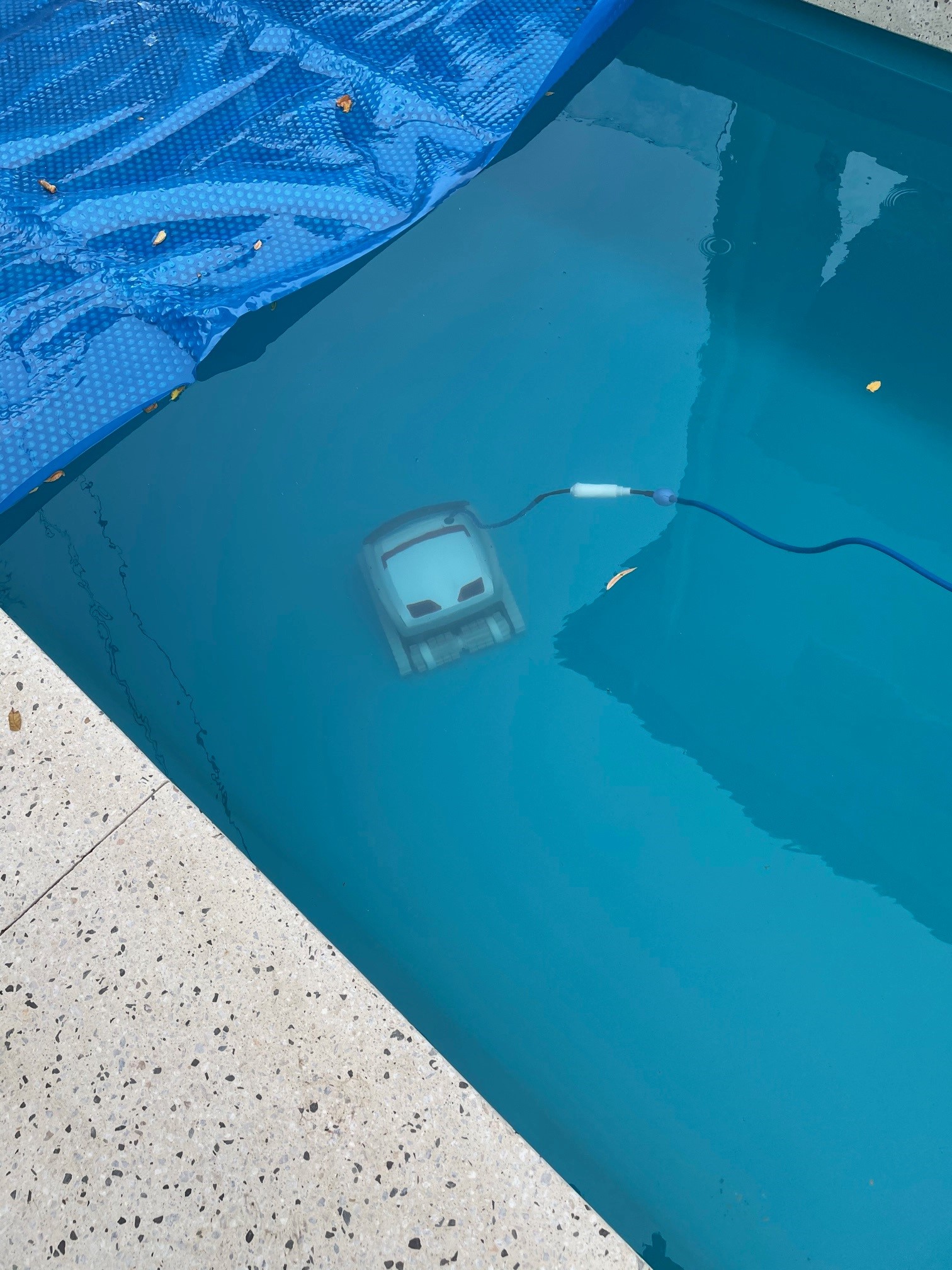 Dolphin Robot 2